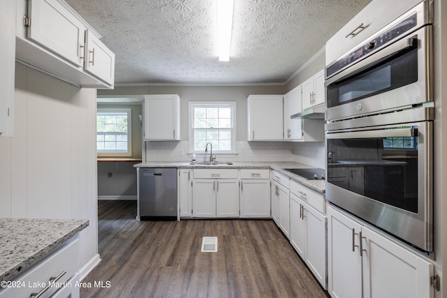 kitchen featuring white cabinetry, sink, dark wood-type flooring, appliances with stainless steel finishes, and ornamental molding