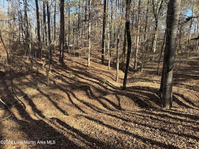LOT92 Tall Pine Pl, Dadeville, AL 36853 - photo 8