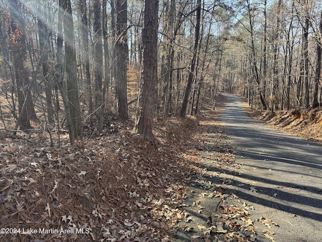 LOT92 Tall Pine Pl, Dadeville, AL 36853 - photo 12
