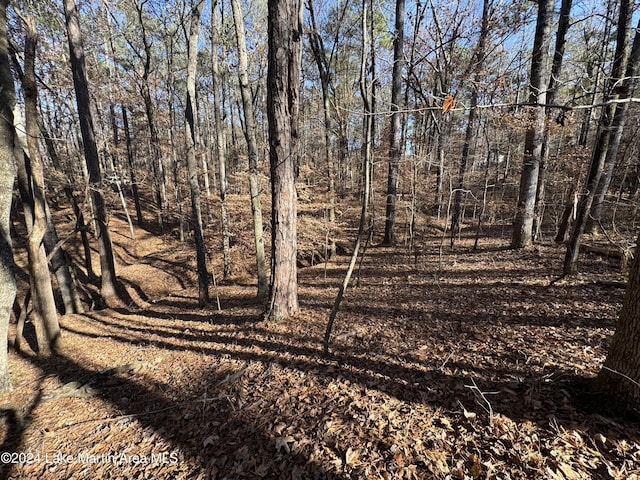 LOT92 Tall Pine Pl, Dadeville, AL 36853 - photo 6