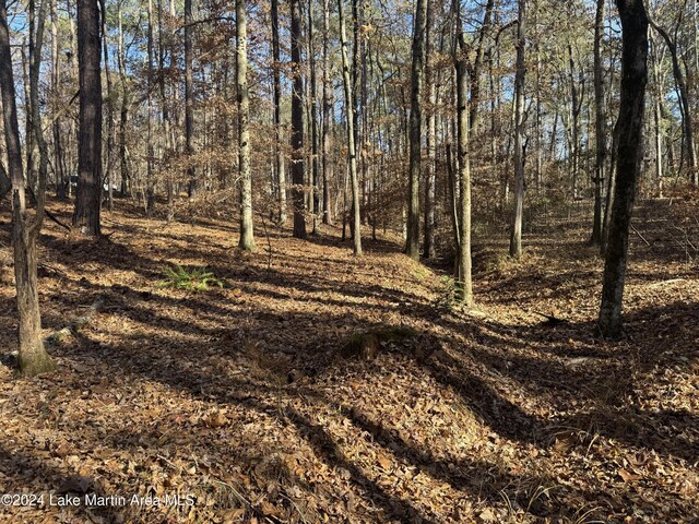LOT92 Tall Pine Pl, Dadeville, AL 36853 - photo 4