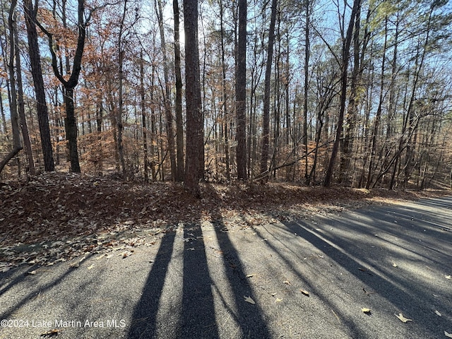 LOT92 Tall Pine Pl, Dadeville, AL 36853 - photo 11