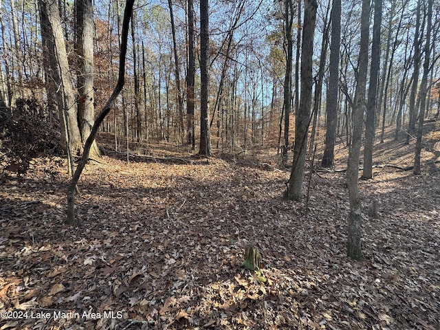 LOT92 Tall Pine Pl, Dadeville, AL 36853 - photo 9