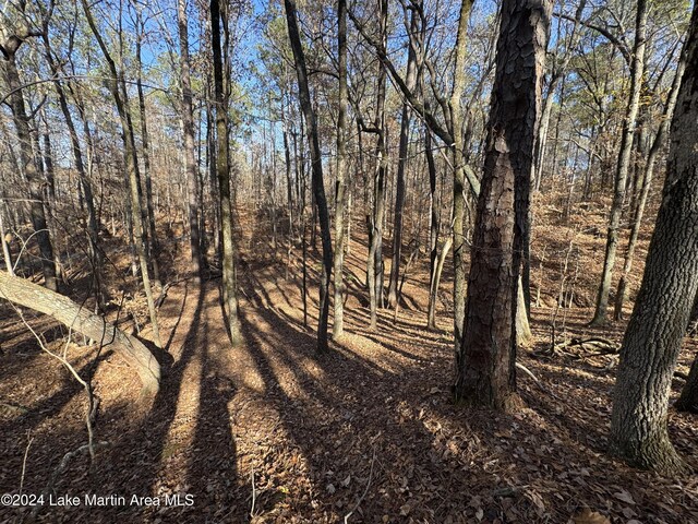 LOT92 Tall Pine Pl, Dadeville, AL 36853 - photo 7