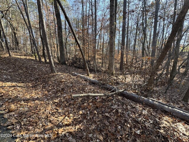 LOT92 Tall Pine Pl, Dadeville, AL 36853 - photo 10