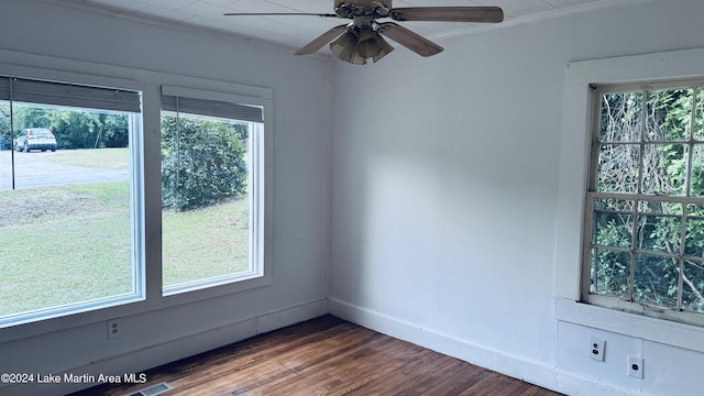 spare room featuring plenty of natural light and wood-type flooring