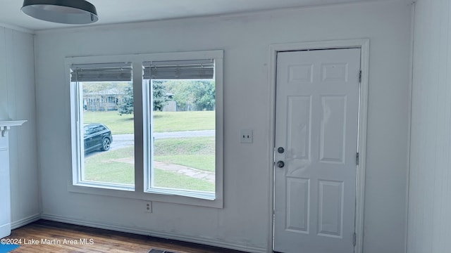 entryway featuring a healthy amount of sunlight and dark hardwood / wood-style floors