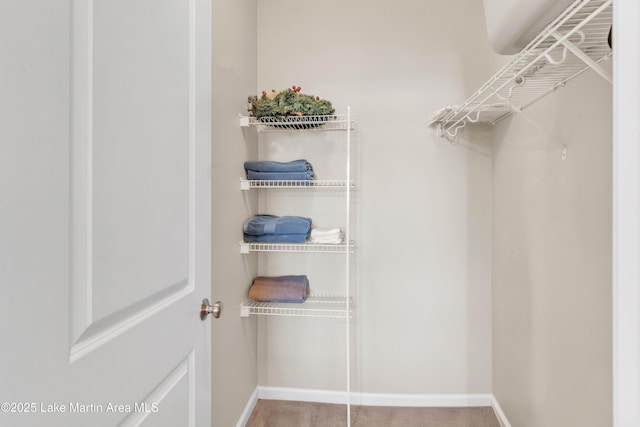 spacious closet with carpet