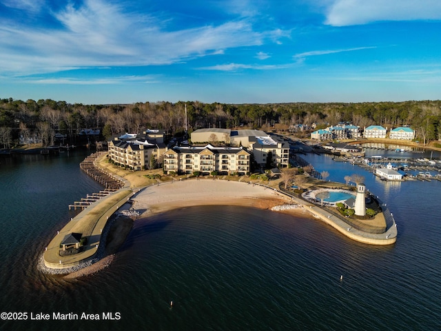 aerial view with a water view