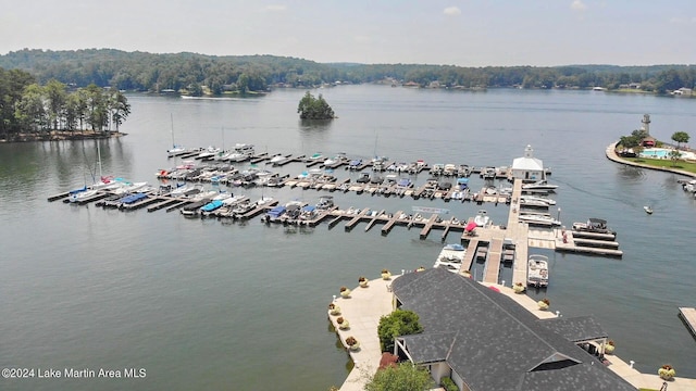 water view with a boat dock