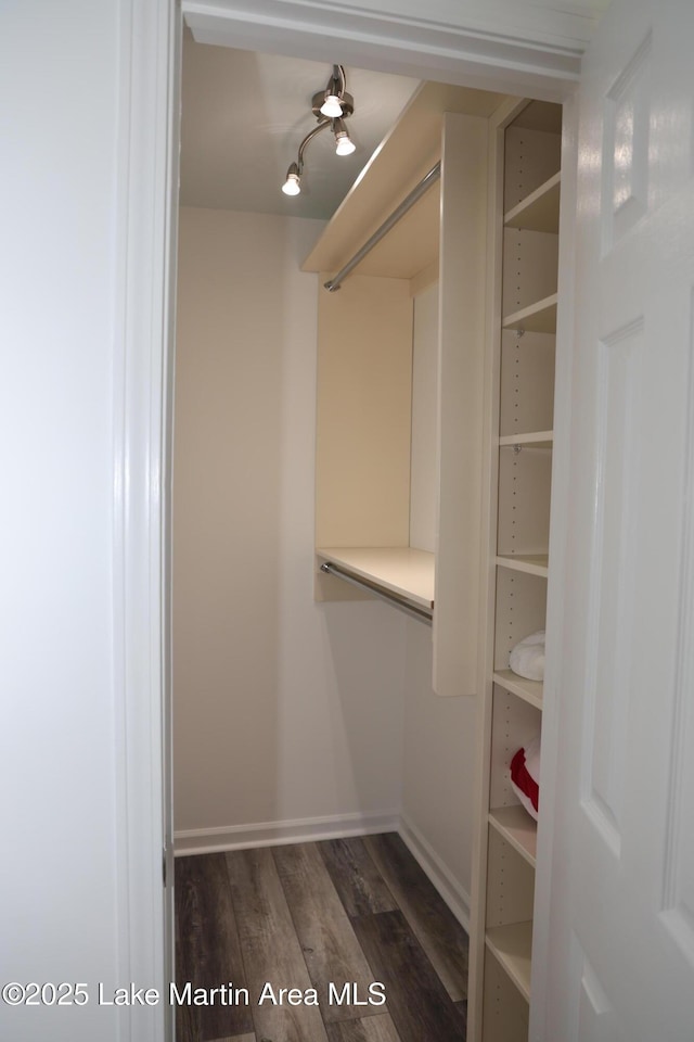 walk in closet with dark hardwood / wood-style floors