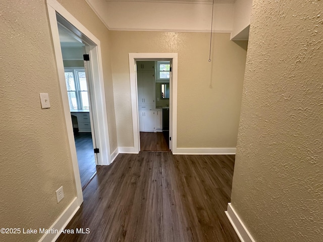 104 Central Blvd, East Tallassee, AL 36078 - walk in closet featuring dark wood-style flooring