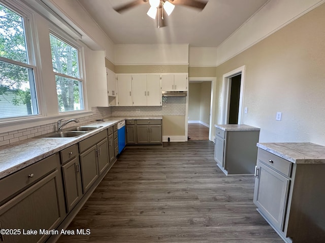 104 Central Blvd, East Tallassee, AL 36078 - kitchen with ceiling fan, backsplash, dark wood-style flooring, gray cabinetry, and under cabinet range hood