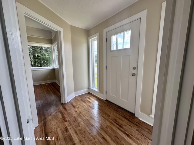 104 Central Blvd, East Tallassee, AL 36078 - entrance foyer featuring healthy amount of natural light and wood finished floors