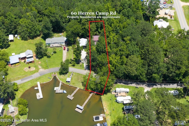 60 Herren Camp Rd, Dadeville, AL 36853 - photo 6
