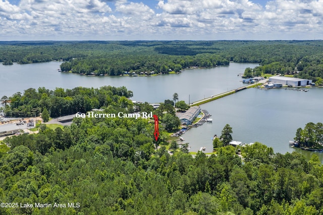 60 Herren Camp Rd, Dadeville, AL 36853 - photo 4