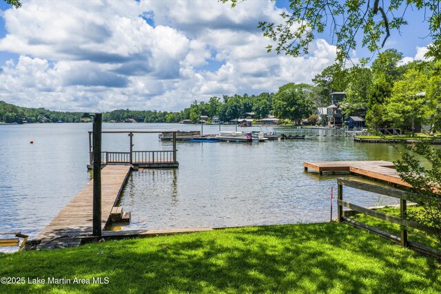 60 Herren Camp Rd, Dadeville, AL 36853 - photo 9