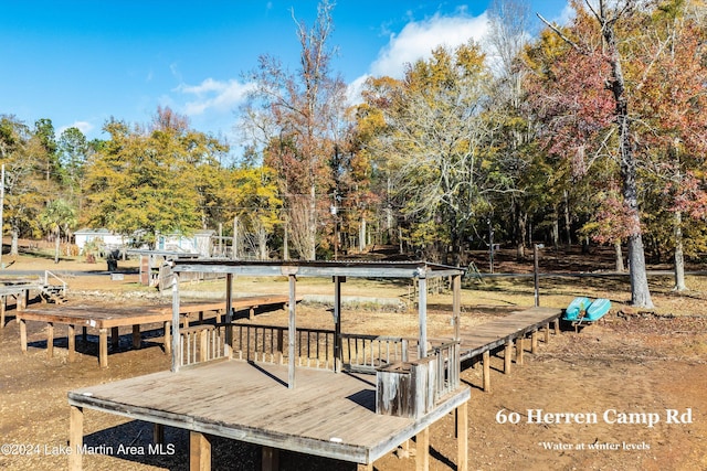 60 Herren Camp Rd, Dadeville, AL 36853 - photo 10