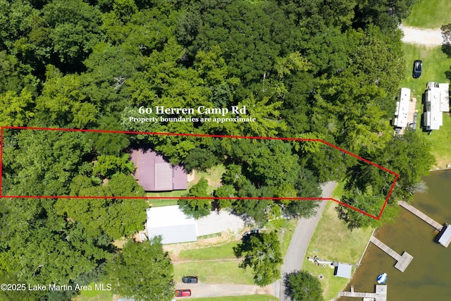 60 Herren Camp Rd, Dadeville, AL 36853 - photo 7