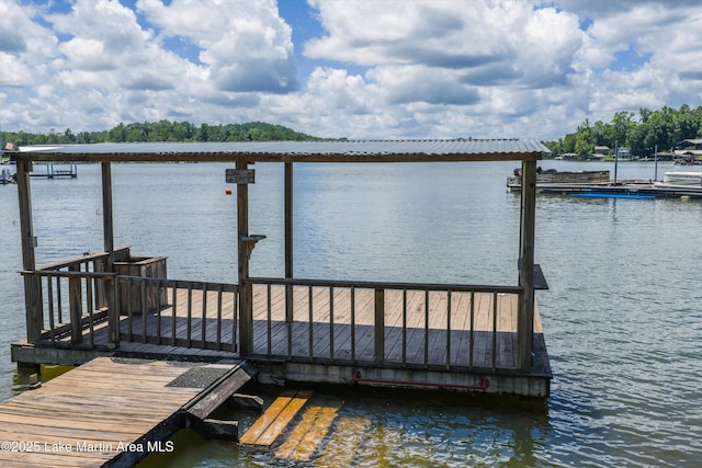 60 Herren Camp Rd, Dadeville, AL 36853 - photo 2