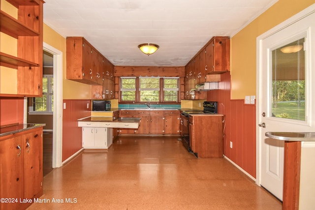 kitchen with black electric range, plenty of natural light, and sink