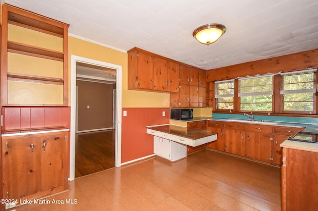 kitchen with crown molding and sink