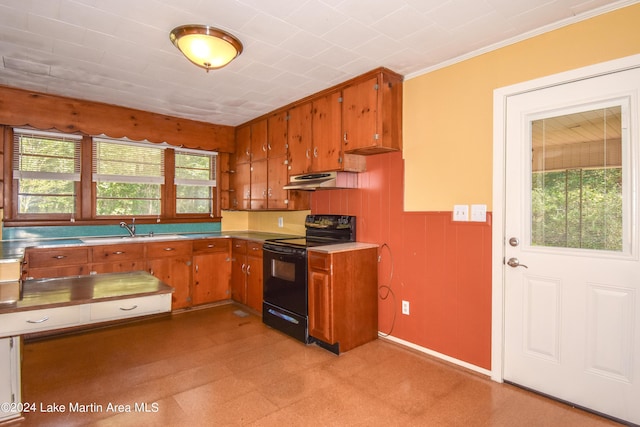 kitchen with sink, black electric range oven, and ornamental molding