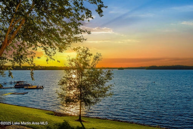 property view of water