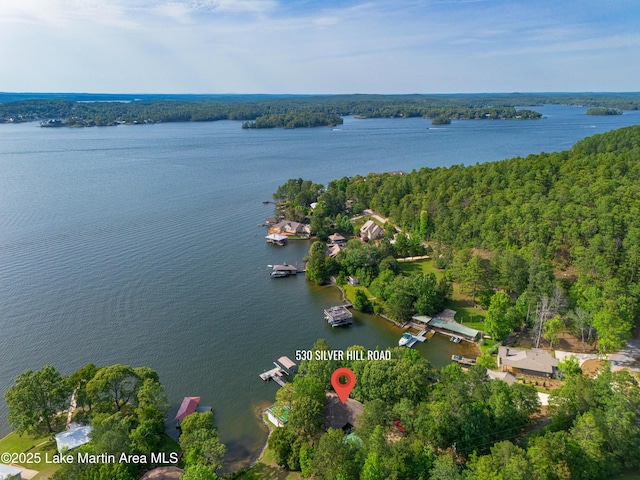 530 Silver Hill Rd, Dadeville, AL 36853 - photo 15