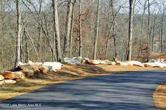 189 Williams Rd Unit # N2, Alexander City, AL 35010 - view of road featuring a view of trees