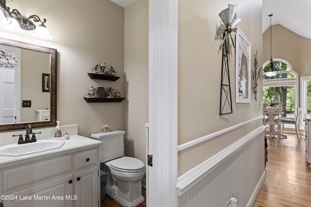 bathroom with toilet, vanity, hardwood / wood-style flooring, and vaulted ceiling