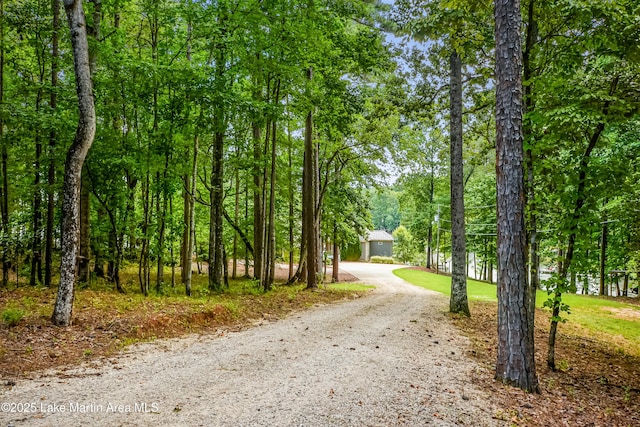 1382 Turner Rd, Dadeville, AL 36853 - photo 87