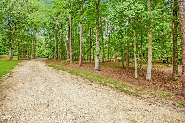 1382 Turner Rd, Dadeville, AL 36853 - photo 90