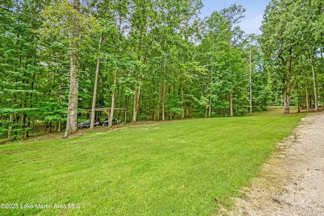 1382 Turner Rd, Dadeville, AL 36853 - photo 89