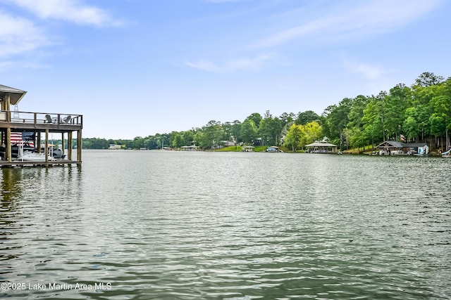1382 Turner Rd, Dadeville, AL 36853 - photo 76