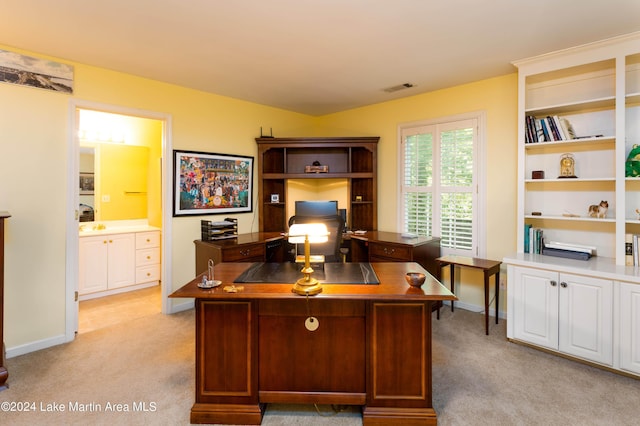 office featuring light colored carpet