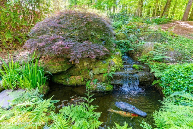 view of local wilderness