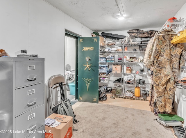 116 Glynmere Park, Alexander City, AL 35010 - view of storage area