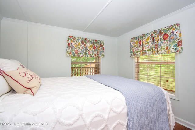 476 Brittney Ln, Jacksons Gap, AL 36861 - bedroom featuring ornamental molding and multiple windows