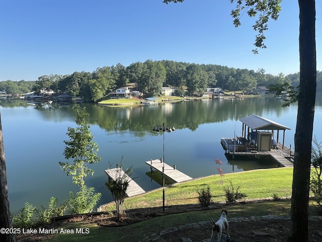 476 Brittney Ln, Jacksons Gap, AL 36861 - photo 68