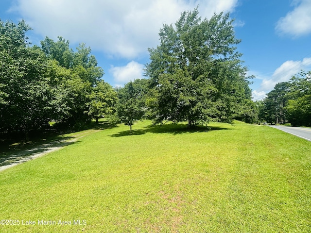 619 Madwind Rd, Jacksons Gap, AL 36861 - photo 11