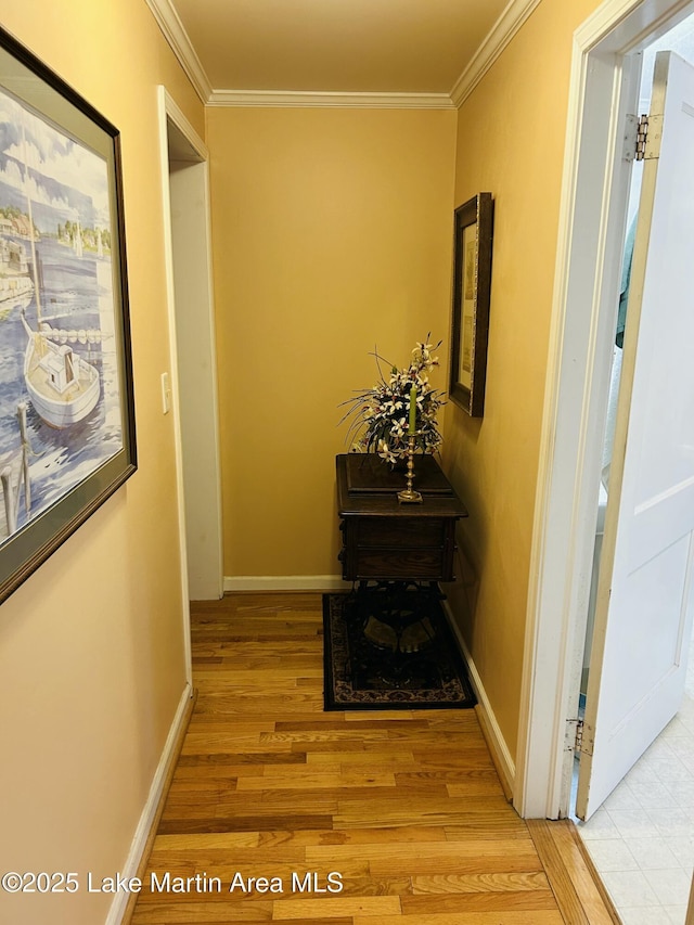 619 Madwind Rd, Jacksons Gap, AL 36861 - photo 39