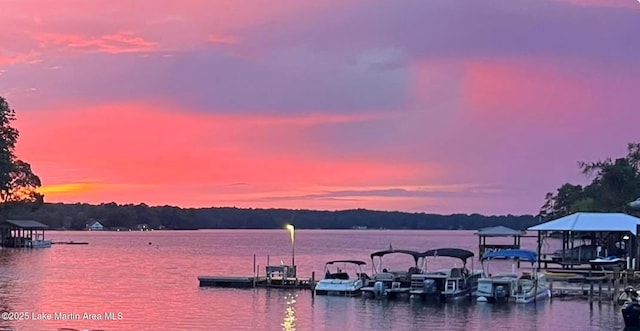dock area featuring a water view
