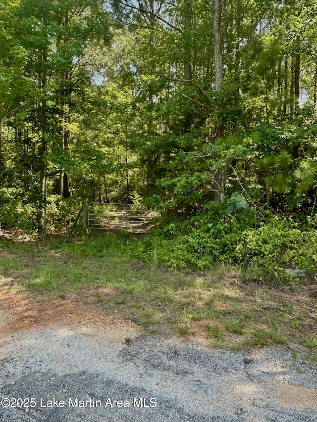 0 Leander Rd, Daviston, AL 36256 - photo 7