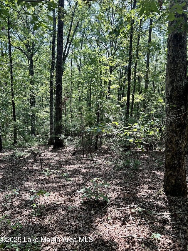 0 Leander Rd, Daviston, AL 36256 - photo 4