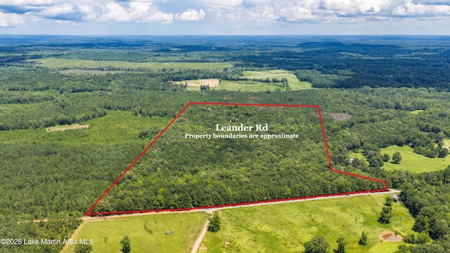 0 Leander Rd, Daviston, AL 36256 - photo 1