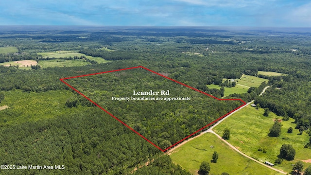 0 Leander Rd, Daviston, AL 36256 - photo 2