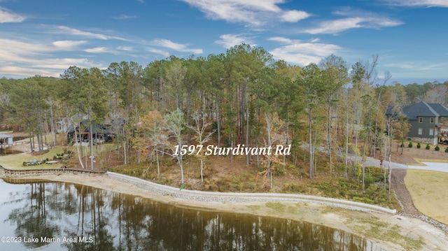 1597 Sturdivant Rd, Jacksons Gap AL, 36861 land for sale