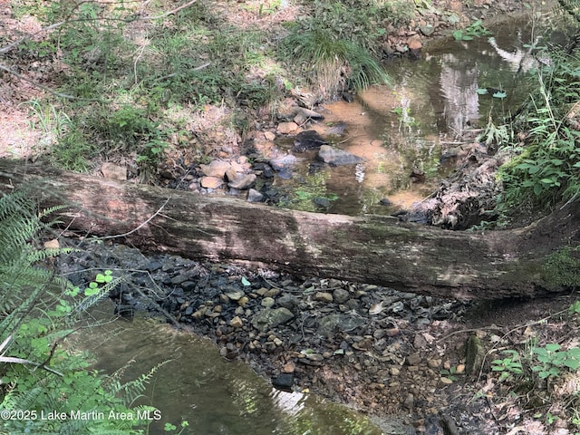 LOT7 Buckskin Ct, Dadeville, AL 36853 - photo 3
