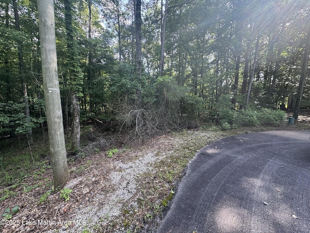 LOT7 Buckskin Ct, Dadeville, AL 36853 - photo 6